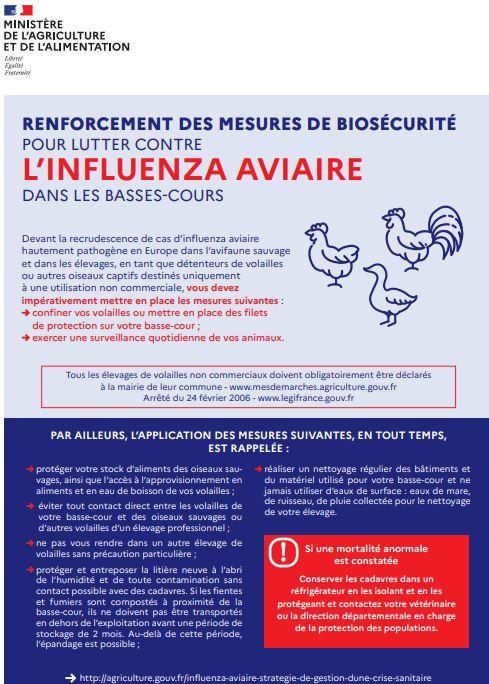 Influenza aviaire