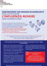 Influenza aviaire