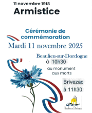 11 novembre