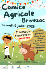 Comice agricole
